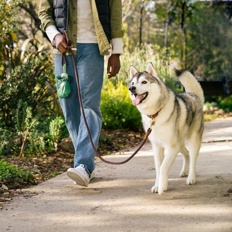 Earth Rated Dog Poop Bag Holder with 900 Lavender-Scented Leakproof Bags – Durable Dispenser Included